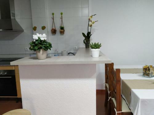 Apartamento Vista Mar La Tortuga
