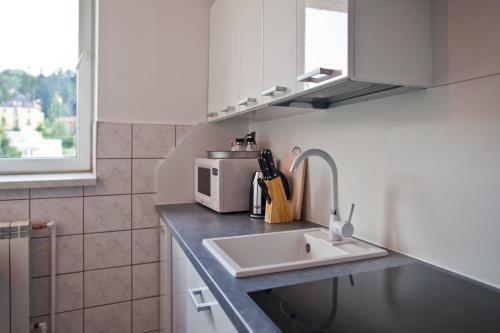 Apartament City Center Grand Loft