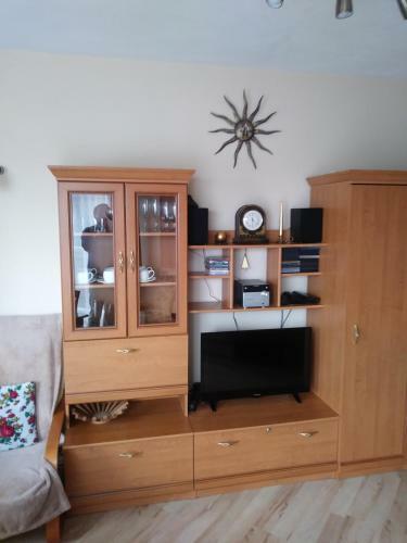 Widokowy Apartament "b�r"
