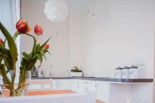 Garden Apartment