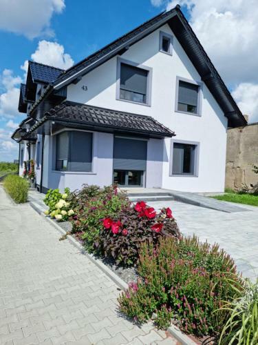 Hostal Noclegi 24/h Leszczynek