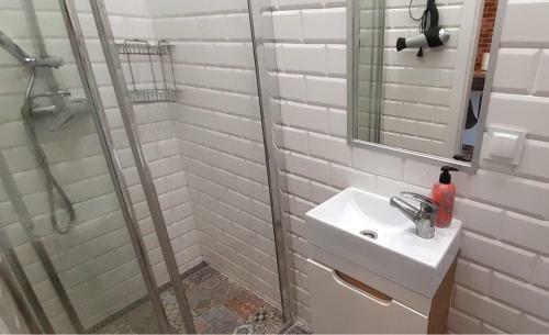 Apartament Z Klimatem W Centrum Legnicy