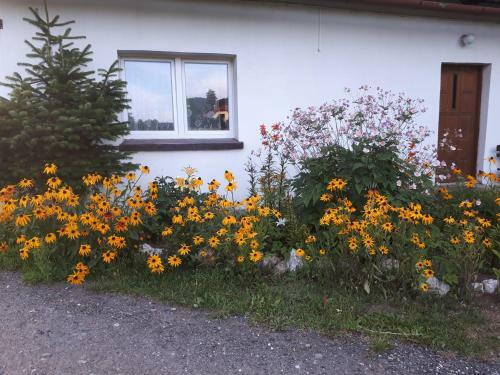 Apartamento Lawendowy Zak?tek - Agroturystyka