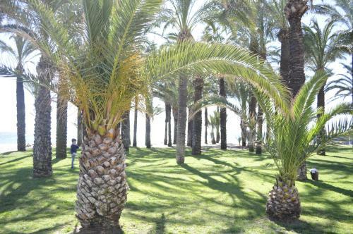 Apartamento Triana