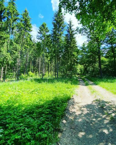 Lodge G�ra Jab?ek Mazury Mikolajki