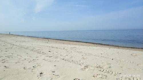 Apartamento Blue Mare Rac - Bon Turystyczny