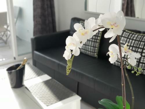 Apartamento Studio Le Luxe Au Soleil Face � La Mer