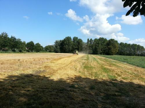 Vakantiewoningen De Schelp