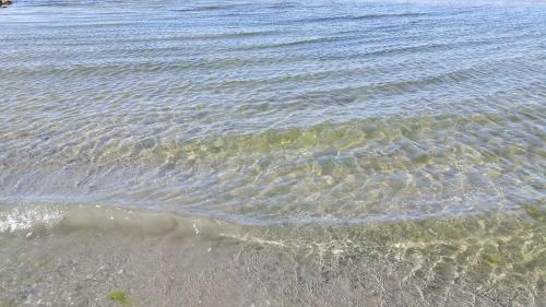 Vakantiewoningen De Schelp