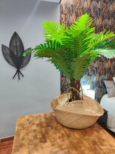 Palm View Luxury Apartment