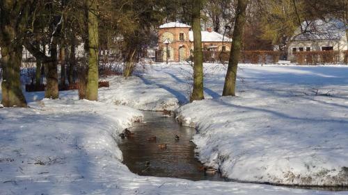 Apartament Parkowy