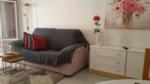 Apartamento Homely Appartment Playa Acequion