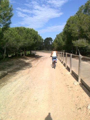 Apartamento Residencial Torrealmar Con Vistas