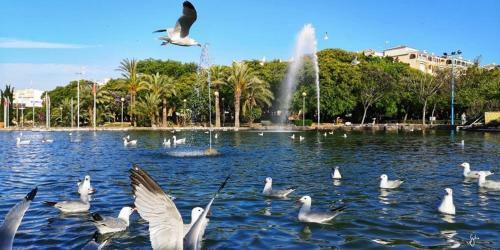 Apartamento Torrevieja Experience Plaza Iglesia