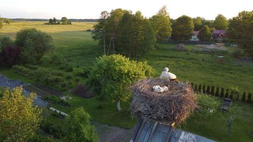 Agroturismo Gospodarstwo "laura"