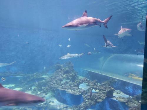 Apartament Aquapark Reda "destination"