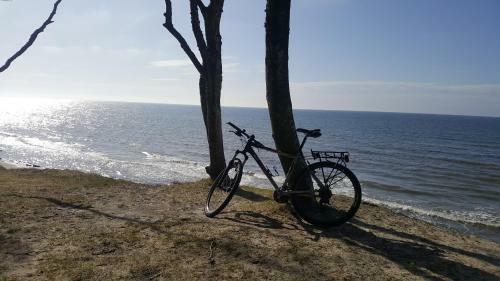 Apartamenty Piaskowe Szprotka 18b