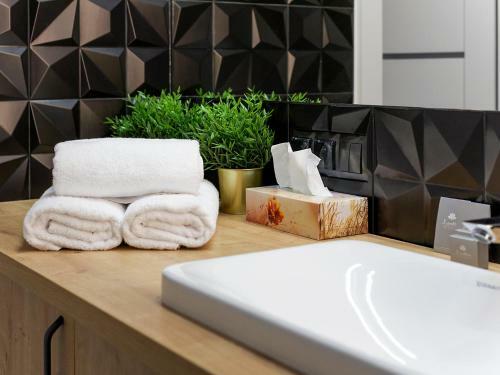 Apartament B�?nicza