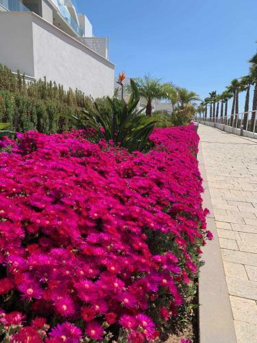 Apartamento Con Vistas Fenomenales Al Mar