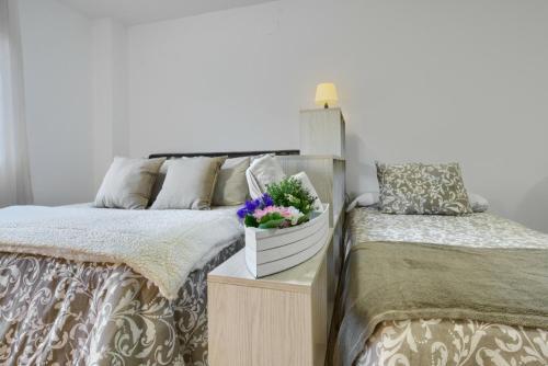 Apartamentos Tur�sticos Plaza San Juan 2