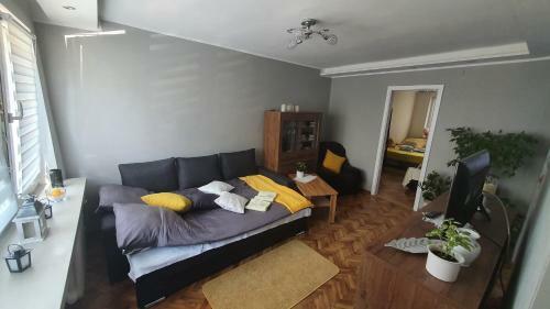Apartament Park Saski