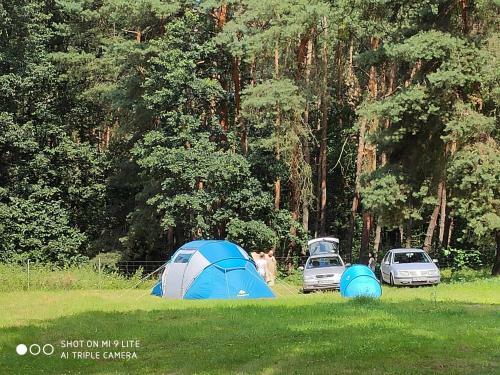 Kameralne Domki Camp4u Z Saun?