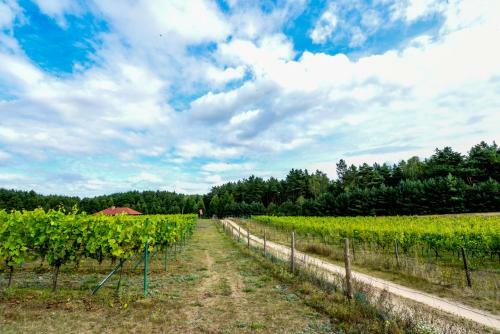 Agroturismo Winnica "?abi Raj"