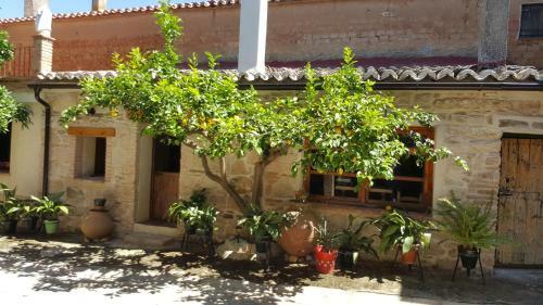 Hostal Felicity House - La Casa Del Sol