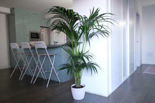 Apartamento Vivienda Vacacional El Cabo