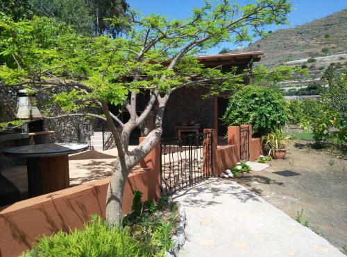 Peaceful House, Set On A Vineyard & Beautiful Views