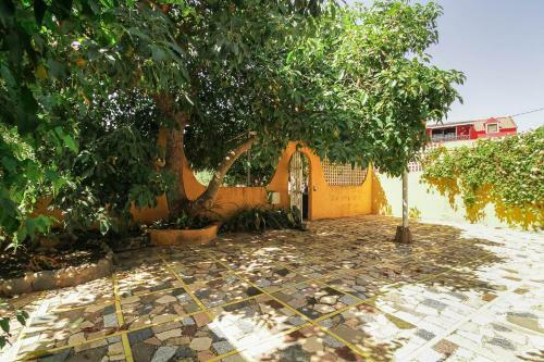 Villa Ojuelos
