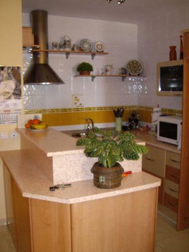 Apartamento Exclusivo Atico En Primera L�nea de Playa