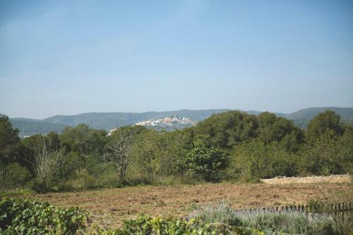 Masia Bartomeu Rural House Between Vineyards 2km From The Beach