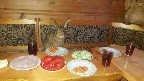 Agroturismo G�ralska Czarcia Chata Pod Ja?owcem