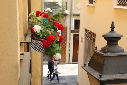 Apartments Abate 4