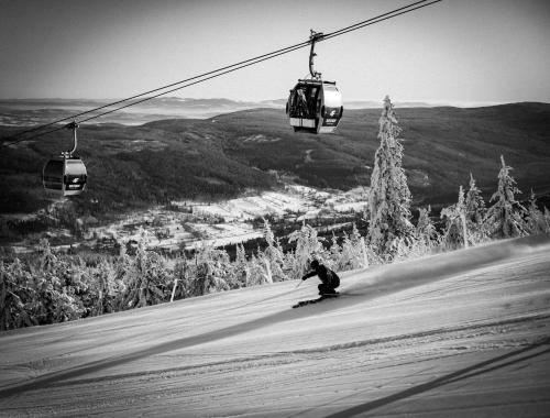 Ski&sun Apartamenty