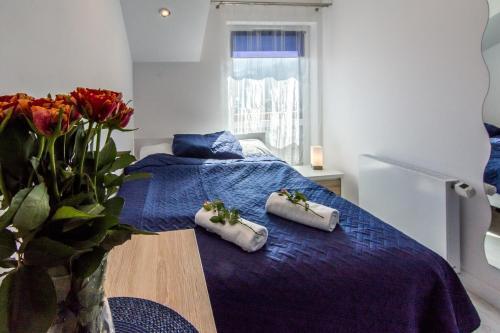 Apartamenty Izerskie - Ul. Sienkiewicza 9