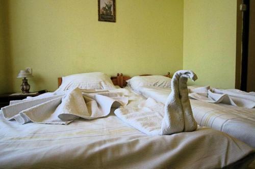 Hostal Willa Pa?acyk