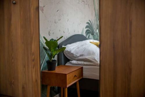 Apartamento Cozy, Small Studio.great Location / Ma?a Kawalerka