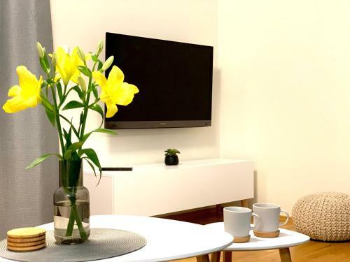 Balticus Uroczy Apartament W ?winouj?ciu