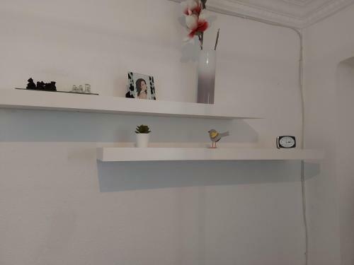 Apartamento Arts & Sciences Museum/beach Wifi