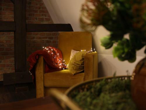Ceglana Komnata - Old Town Apartment