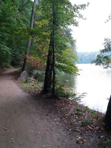 Apartamenty Widok Lake View Apartment I