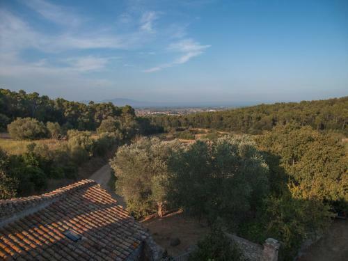 Agroturismo Mas de San Feliu