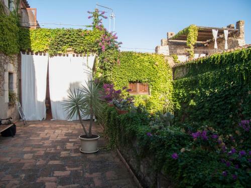 Agroturismo Mas de San Feliu
