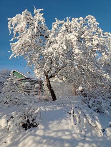 Gromadzyni�wka-pod Czarnym Kogutem