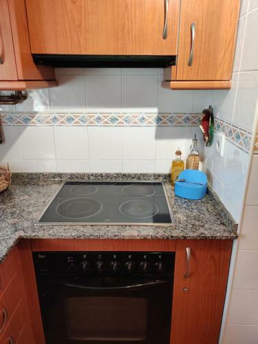 Apartamento Aneto