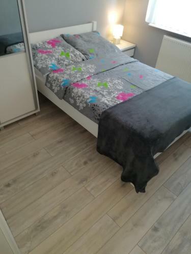 Apartamenty I Pokoje Biala Hortensja