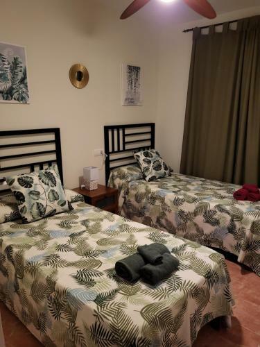 Apartamento Ex�tico En Primera L�nea de Vera-playa!