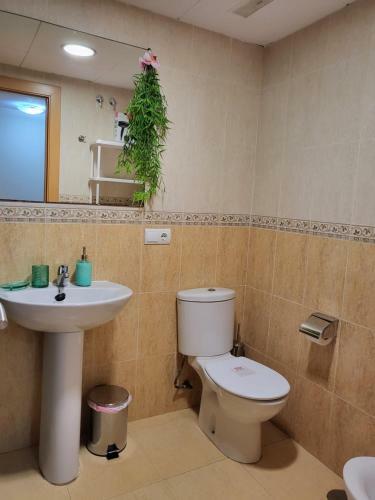 Apartamento Ex�tico En Primera L�nea de Vera-playa!